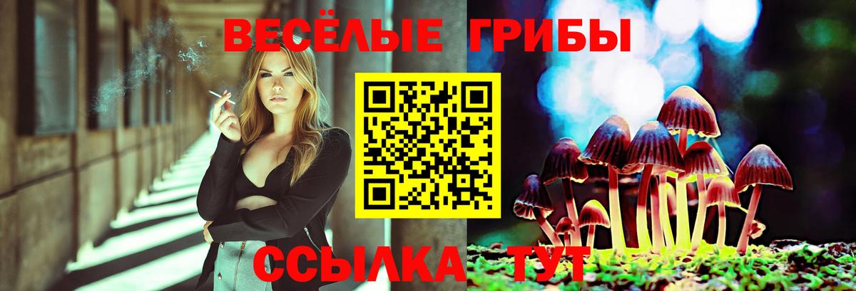 Псилоцибиновые грибы Psilocybe Магнитогорск